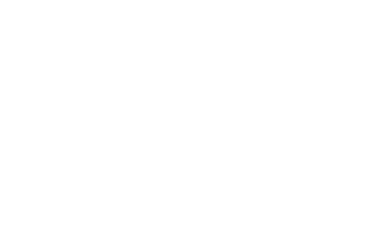 Cairo Festival